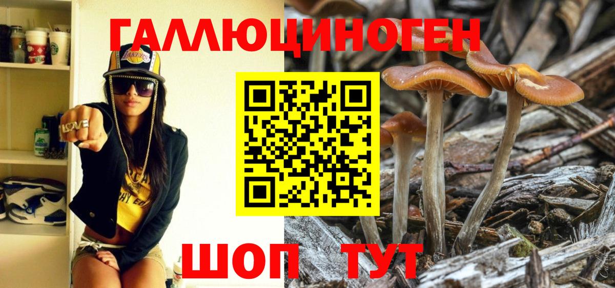 Галлюциногенные грибы MAGIC MUSHROOMS Белая Калитва